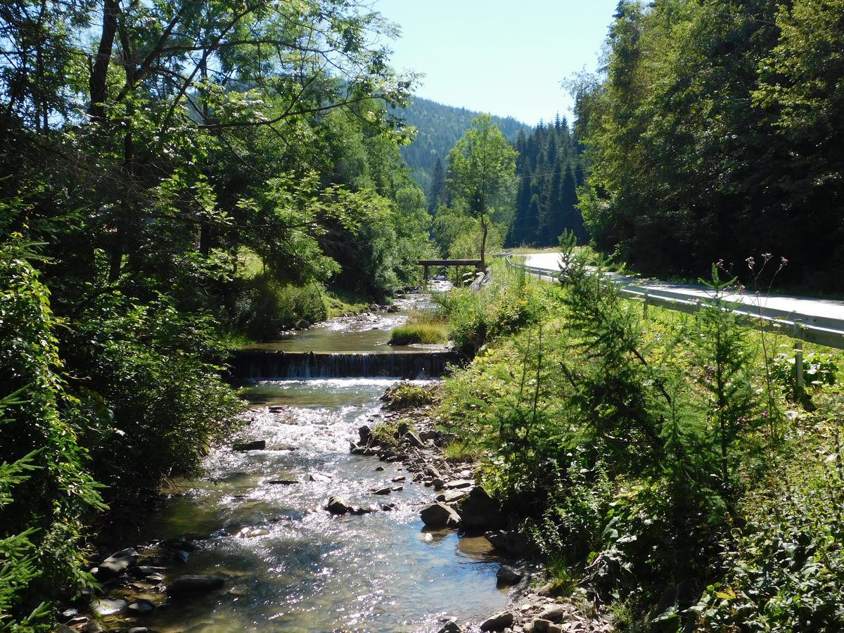 Willa Wiktoria Zakopane Esterno foto